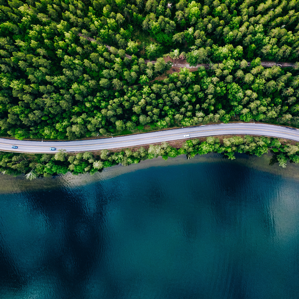 car driving through forest