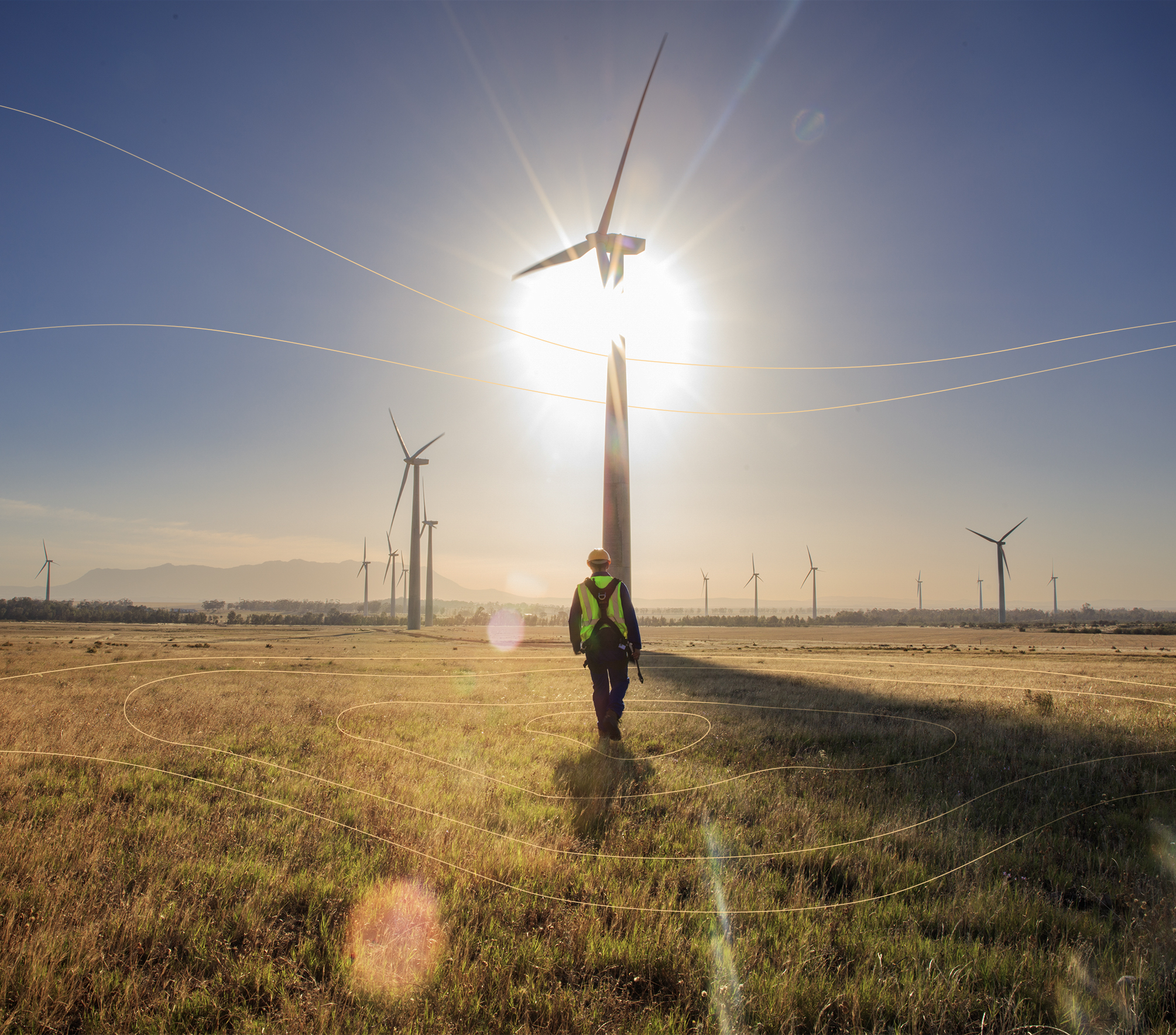 photo of windmills