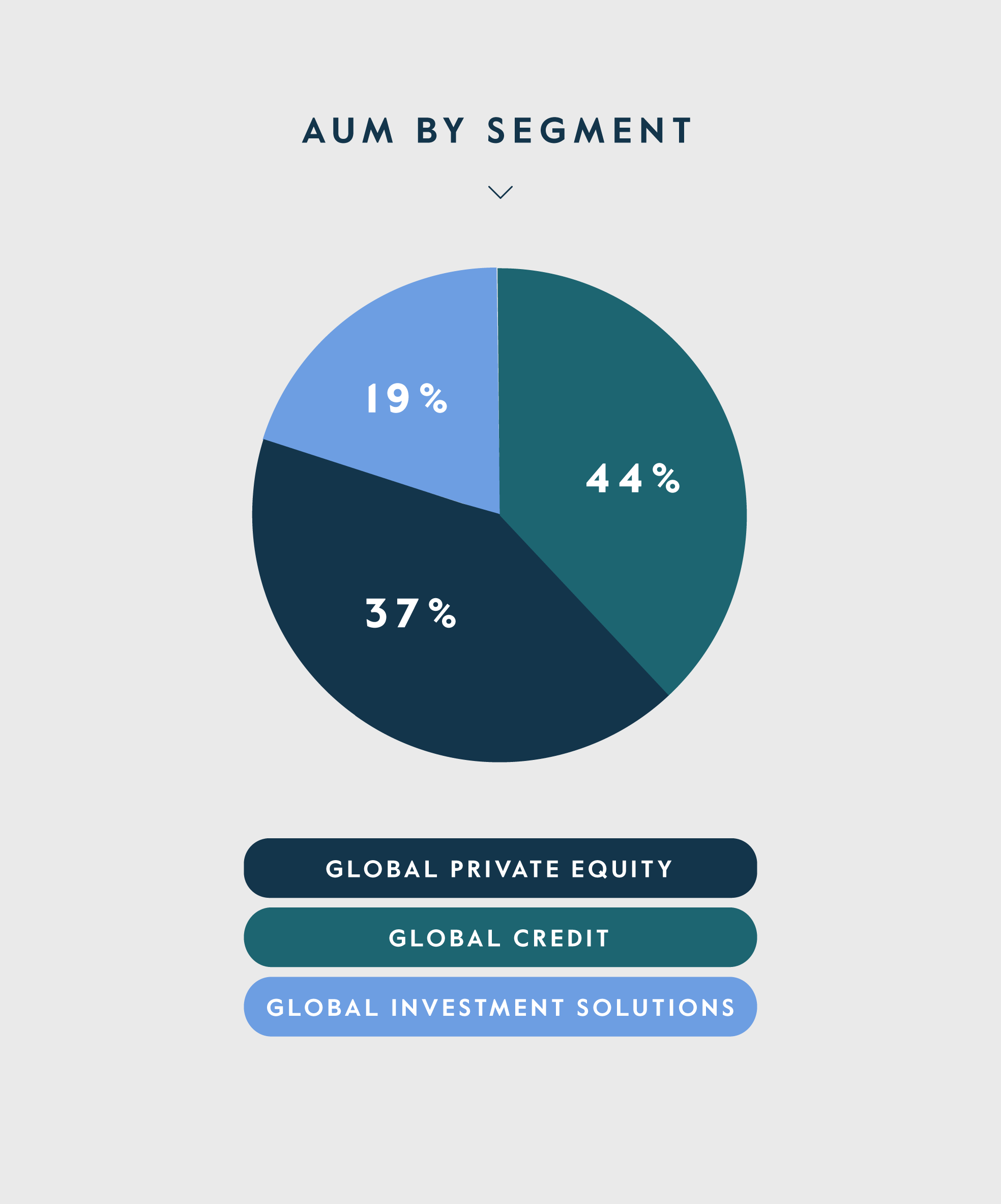 AUM by Segment 2024 Q1